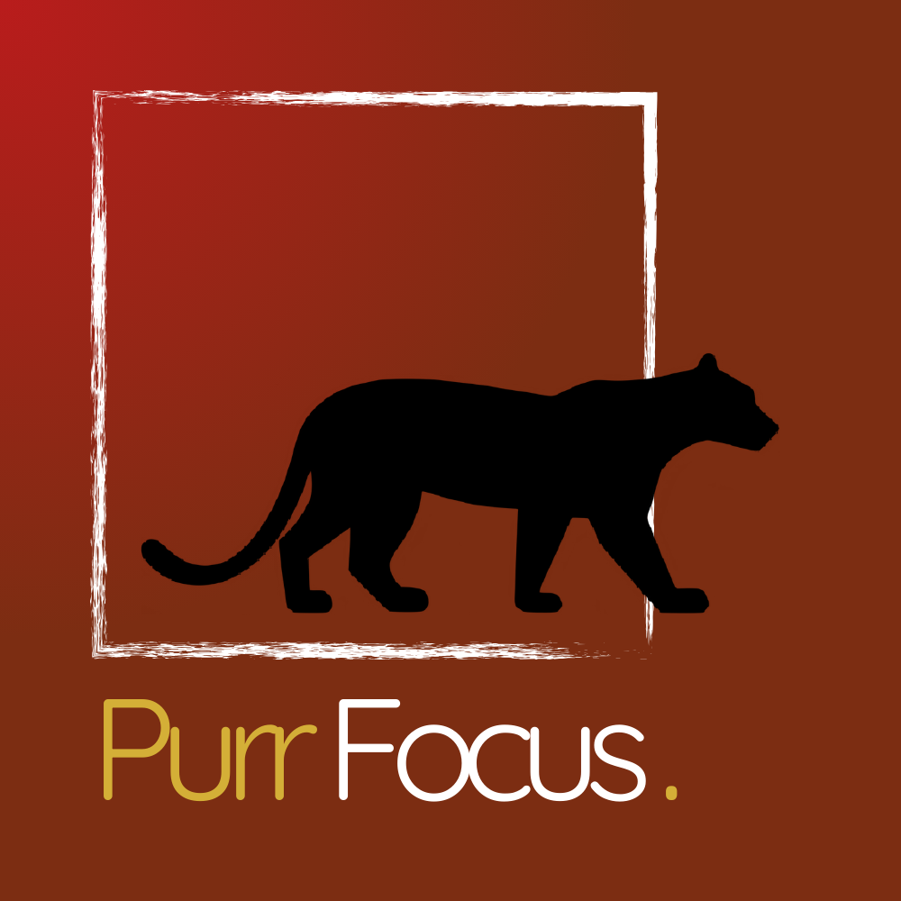 PurrFocus Logo