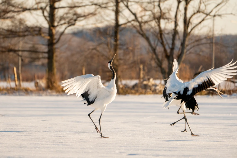 Photographie de voyage et paysages inspirants - Blog PurrFocus